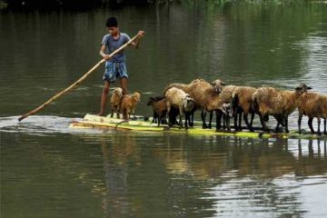 India : Over one million people hit as floods worsen in tea region of Assam