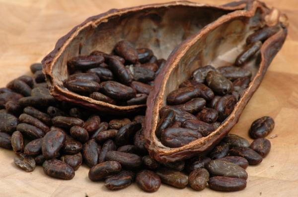 Ivory Coast to reduce export taxes for cocoa products