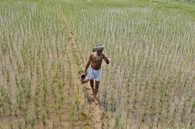 Punjab to forgive over $1.5 billion in farm debts