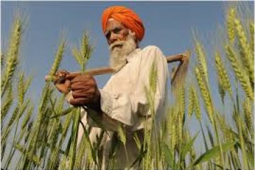 Growing supply glut threatens worse to come for restive Indian farmers