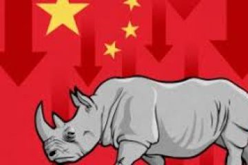 What’s a ‘gray rhino’ and why did it cause Chinese stocks to drop?