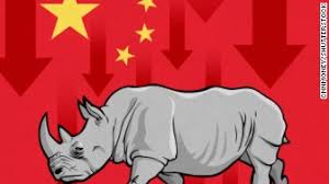 What’s a ‘gray rhino’ and why did it cause Chinese stocks to drop?