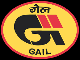 GAIL India to skip mid-term LNG deals for 2018 due to U.S. imports