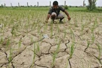 India’s rain deficit widens to 6 percent, raises crop yield concerns