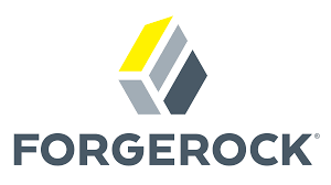 ForgeRock Raises $88 Million Ahead of Planned IPO