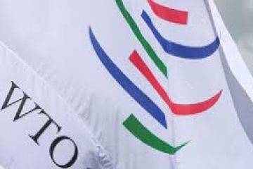 WTO chief says U.S. wants reform in trade body, has raised concerns