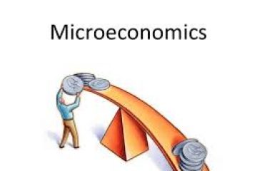 Many results in microeconomics are shaky