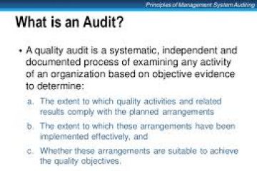 What is an audit for?