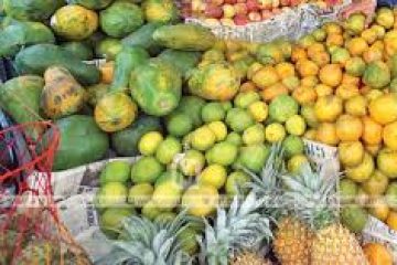Saudi Arabia bans fruit and vegetables from Kerala