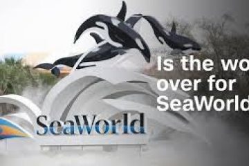 SeaWorld makes a big splash: Attendance up, stock soars