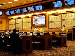 All-In on Casino Stocks: Are They the Next Big Investment Trend?