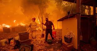 California Was Already Facing an Insurance Crisis. The Deadliest Wildfires in State History Are Making It Even Worse