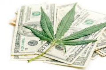 Pot Execs Testify About Being Shut Out of the Financial System: It’s ‘Federal Chaos’