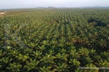 Malaysia says will work diplomatically with India if palm oil imports curbed