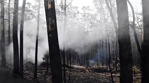 Australia readies as renewed bushfire threat looms, economic costs soar