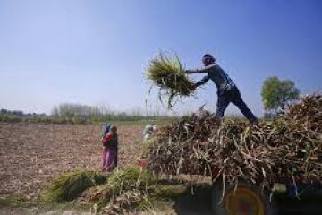 Economists eye silver lining in India’s rising rural inflation numbers