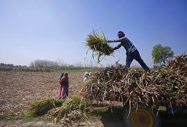 Economists eye silver lining in India’s rising rural inflation numbers