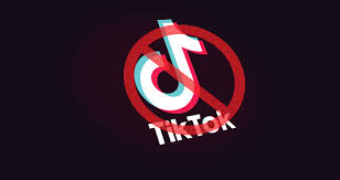 Why did India just ban TikTok?