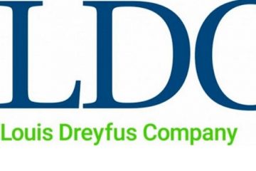 Louis Dreyfus profit rebounds but equity shrinks