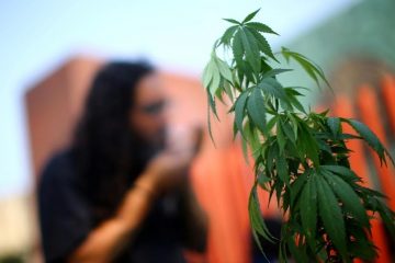Cannabis review site Weedmaps nears $1.5 billion deal to go public