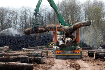 U.S. trade chief pressured to lift duties on Canadian lumber