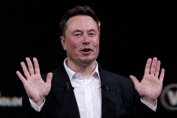 Elon Musk Takes a Stand in Defense of Insulting Expressions