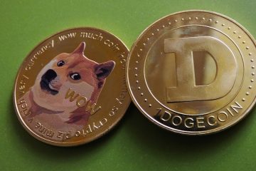 Riding the Wave of Internet Culture: Investing in Dogecoin