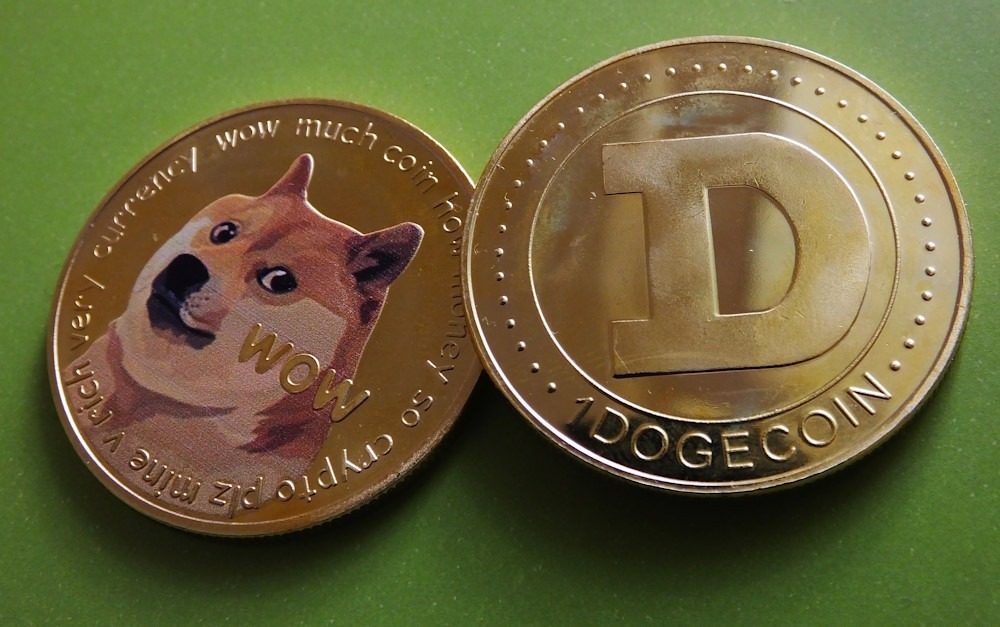 Riding the Wave of Internet Culture: Investing in Dogecoin