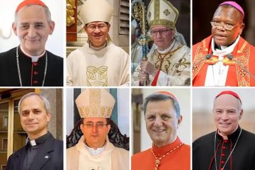 Who is the most likely candidate to succeed Pope Francis