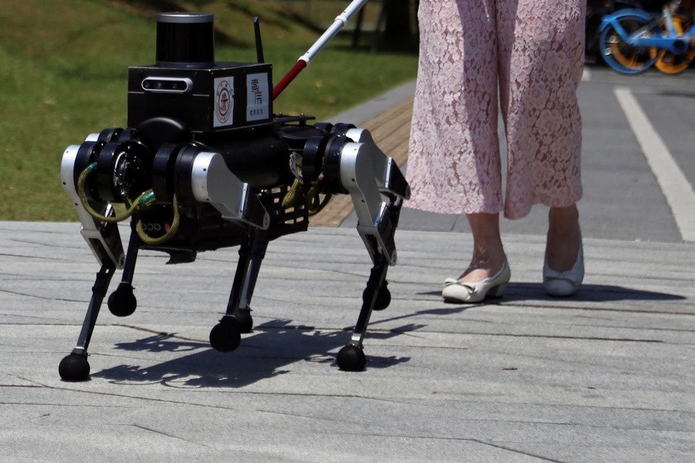 China Dominates as Robot Dogs Revolutionize AI Testing