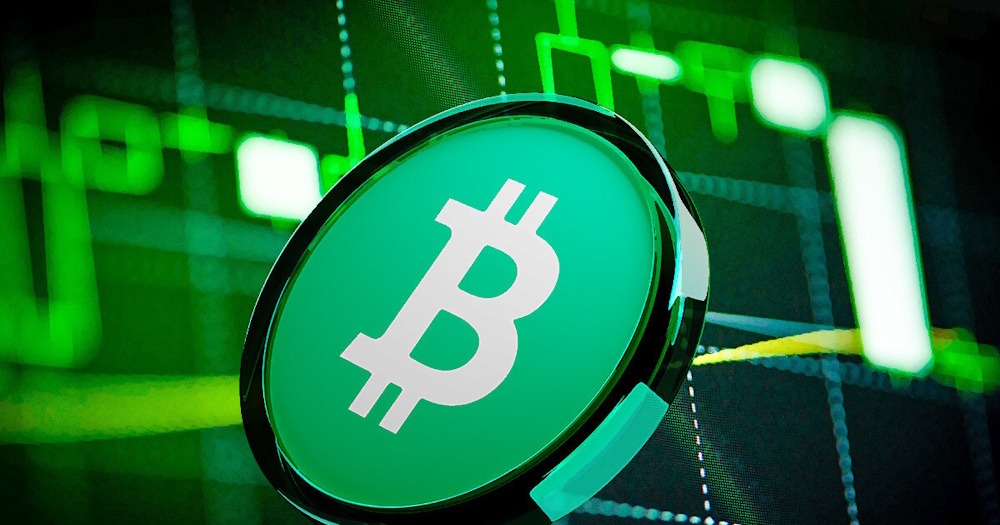 Bitcoin Cash Shows Strong Momentum Amid Market Weakness
