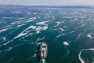 High Seas Treaty establishes ocean protection laws