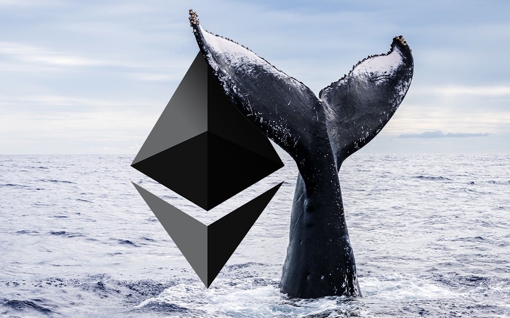 Ethereum Faces Heavy Selling Pressure After Whale Activity